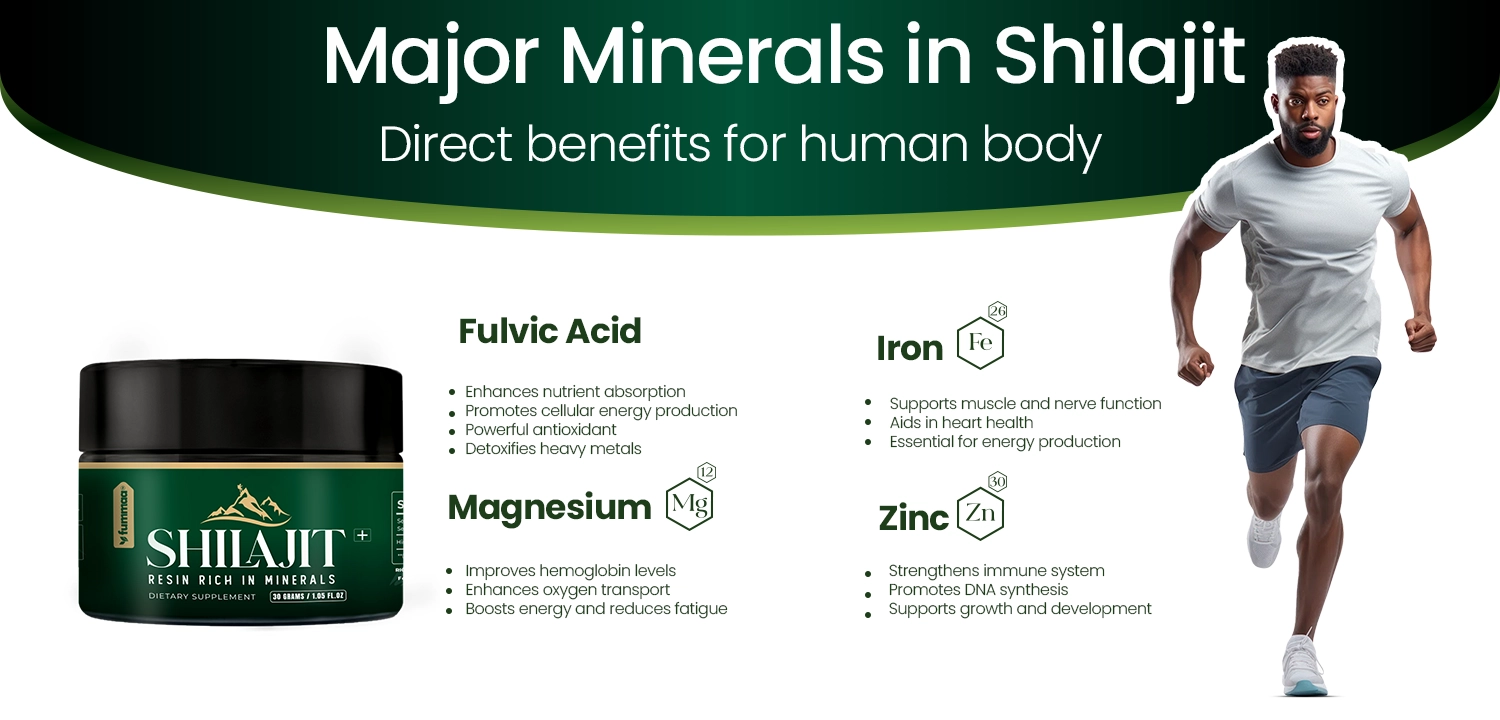 Shilajit Banner Image